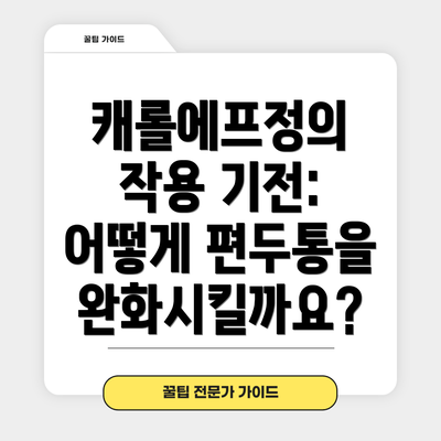 캐롤에프정의 작용 기전: 어떻게 편두통을 완화시킬까요?