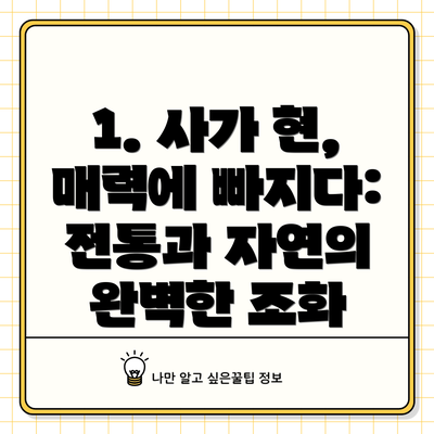 1. 사가 현, 매력에 빠지다: 전통과 자연의 완벽한 조화