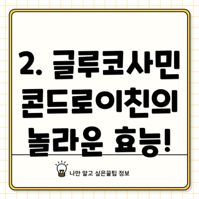 2. 글루코사민 콘드로이친의 놀라운 효능!