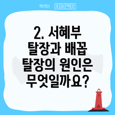 2. 서혜부 탈장과 배꼽 탈장의 원인은 무엇일까요?