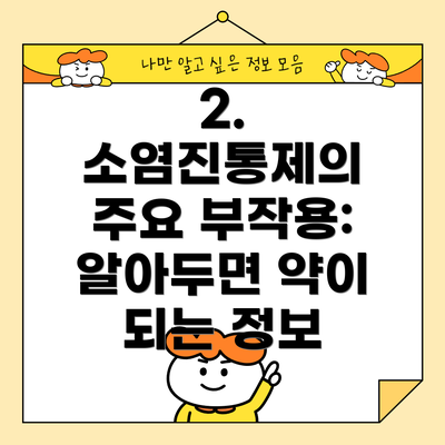 2. 소염진통제의 주요 부작용: 알아두면 약이 되는 정보