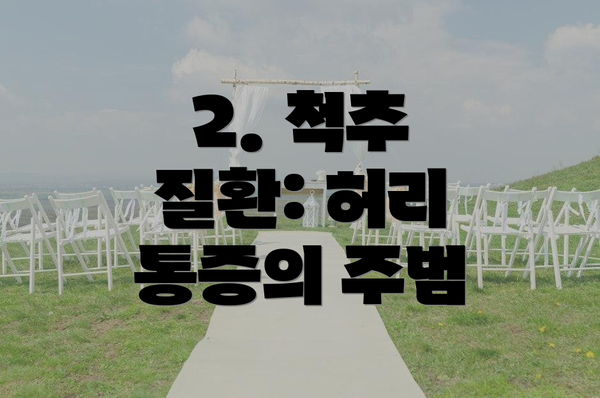 2. 척추 질환: 허리 통증의 주범