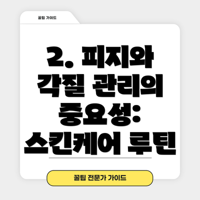 2. 피지와 각질 관리의 중요성: 스킨케어 루틴