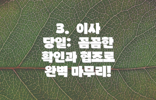 3.  이사 당일:  꼼꼼한 확인과 협조로 완벽 마무리!