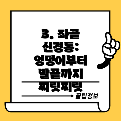 3. 좌골 신경통: 엉덩이부터 발끝까지 찌릿찌릿