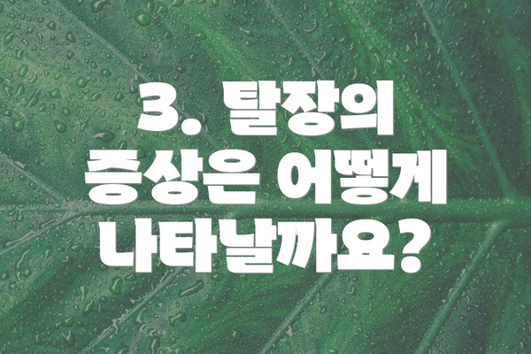 3. 탈장의 증상은 어떻게 나타날까요?