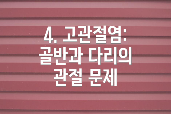 4. 고관절염: 골반과 다리의 관절 문제