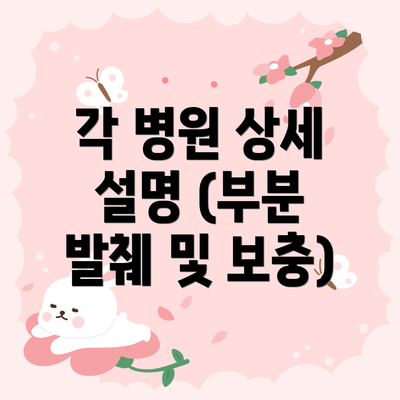 각 병원 상세 설명 (부분 발췌 및 보충)