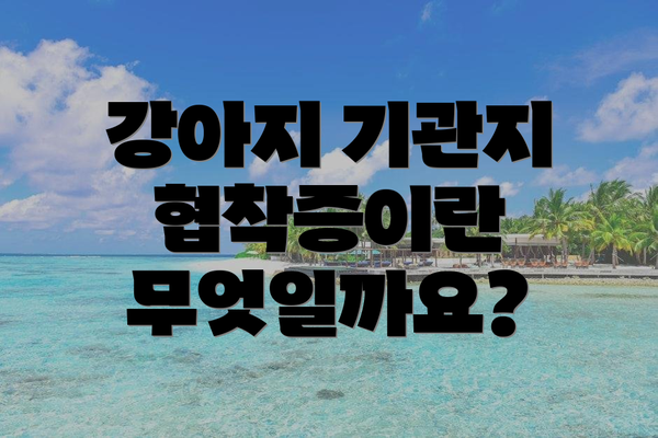강아지 기관지 협착증이란 무엇일까요?