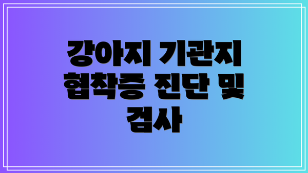 강아지 기관지 협착증 진단 및 검사