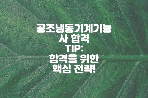공조냉동기계기능사 합격 TIP:  합격을 위한 핵심 전략!