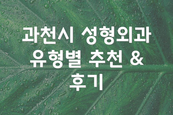 과천시 성형외과 유형별 추천 & 후기