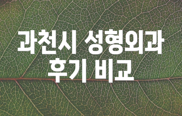 과천시 성형외과 후기 비교