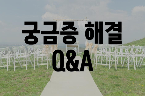 궁금증 해결 Q&A