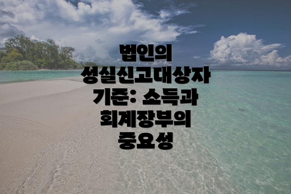 법인의 성실신고대상자 기준: 소득과 회계장부의 중요성