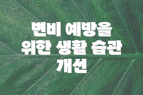 변비 예방을 위한 생활 습관 개선