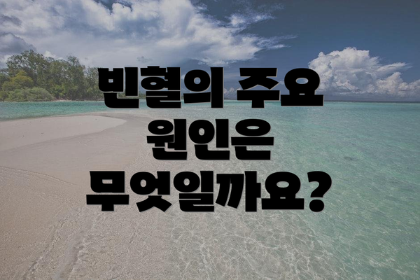 빈혈의 주요 원인은 무엇일까요?