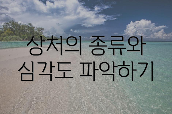 상처의 종류와 심각도 파악하기