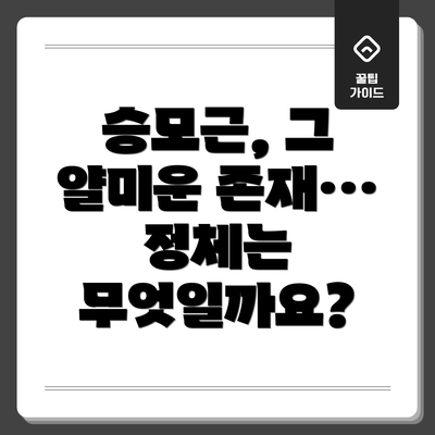 승모근, 그 얄미운 존재… 정체는 무엇일까요?