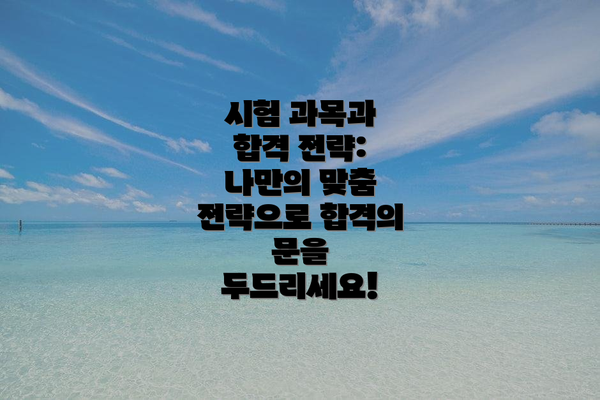 시험 과목과 합격 전략: 나만의 맞춤 전략으로 합격의 문을 두드리세요!