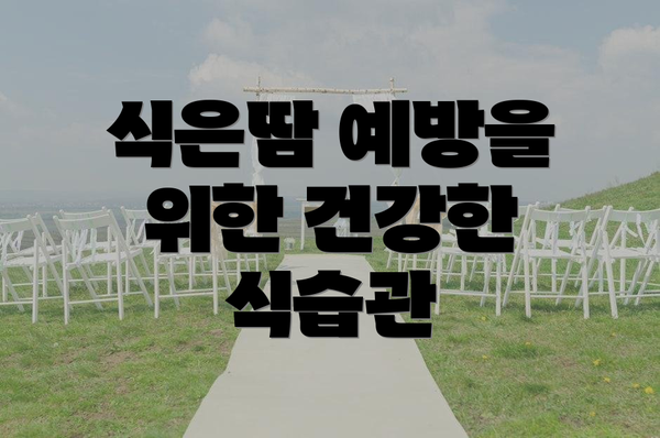 식은땀 예방을 위한 건강한 식습관