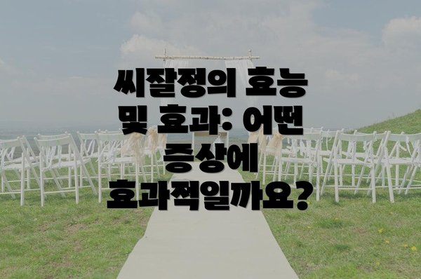 씨잘정의 효능 및 효과: 어떤 증상에 효과적일까요?