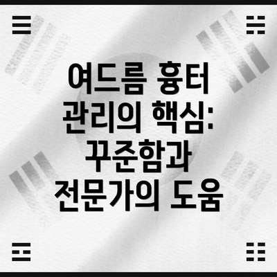 여드름 흉터 관리의 핵심: 꾸준함과 전문가의 도움