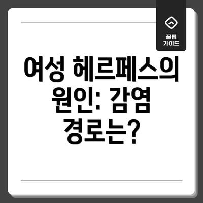 여성 헤르페스의 원인: 감염 경로는?