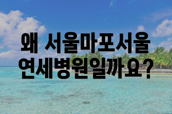 왜 서울마포서울연세병원일까요?
