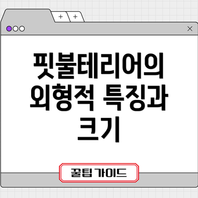 핏불테리어의 외형적 특징과 크기