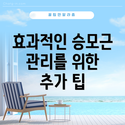 효과적인 승모근 관리를 위한 추가 팁