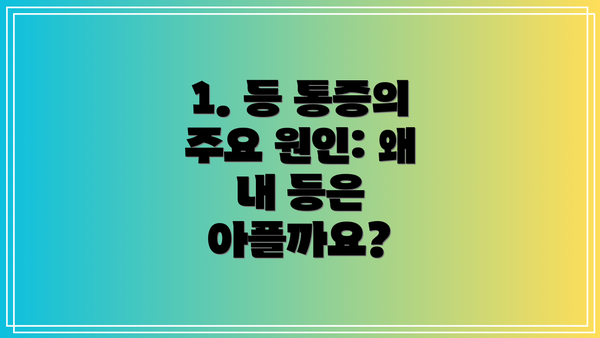 1. 등 통증의 주요 원인: 왜 내 등은 아플까요?