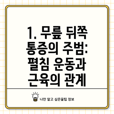 1. 무릎 뒤쪽 통증의 주범: 펼침 운동과 근육의 관계