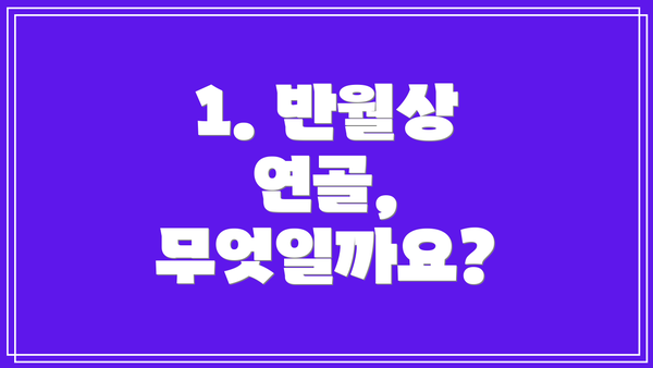 1. 반월상 연골, 무엇일까요?