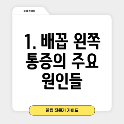 1. 배꼽 왼쪽 통증의 주요 원인들