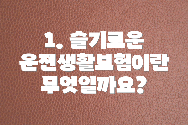 1. 슬기로운 운전생활보험이란 무엇일까요?