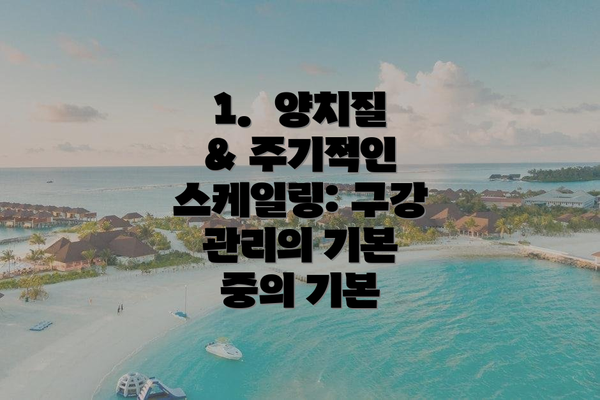 1.  양치질 & 주기적인 스케일링: 구강 관리의 기본 중의 기본