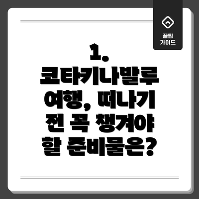 1. 코타키나발루 여행, 떠나기 전 꼭 챙겨야 할 준비물은?