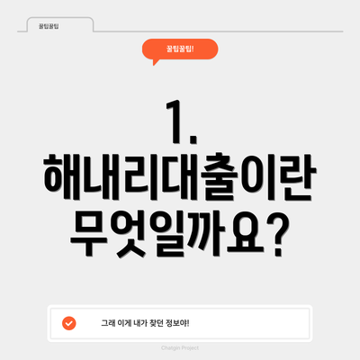 1. 해내리대출이란 무엇일까요?