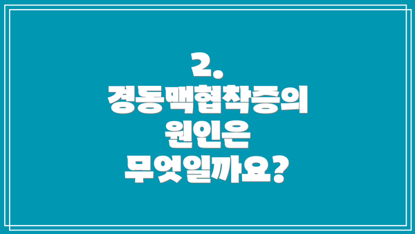 2. 경동맥협착증의 원인은 무엇일까요?