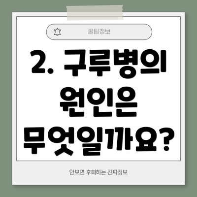 2. 구루병의 원인은 무엇일까요?