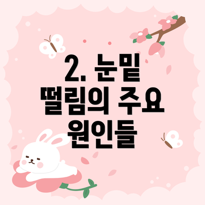 2. 눈밑 떨림의 주요 원인들
