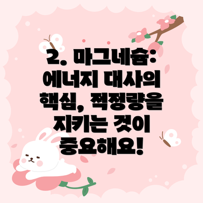 2. 마그네슘: 에너지 대사의 핵심, 적정량을 지키는 것이 중요해요!