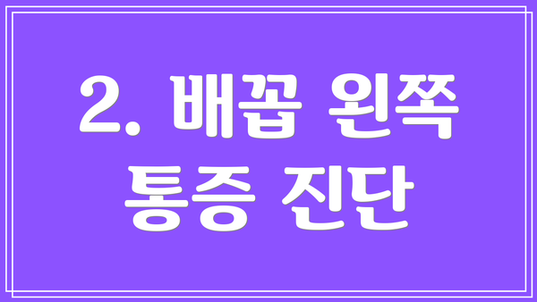 2. 배꼽 왼쪽 통증 진단