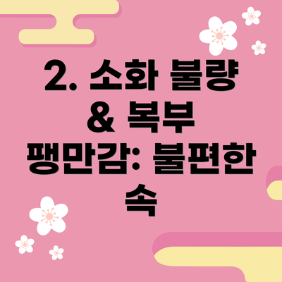 2. 소화 불량 & 복부 팽만감: 불편한 속
