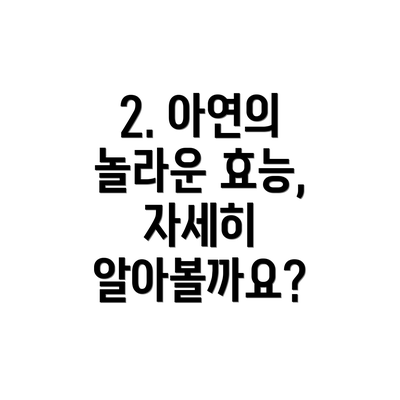 2. 아연의 놀라운 효능, 자세히 알아볼까요?