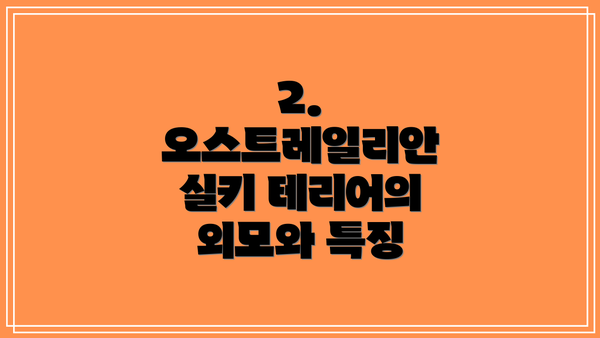 2. 오스트레일리안 실키 테리어의 외모와 특징