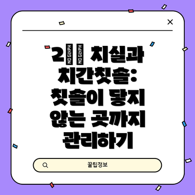2️⃣ 치실과 치간칫솔: 칫솔이 닿지 않는 곳까지 관리하기