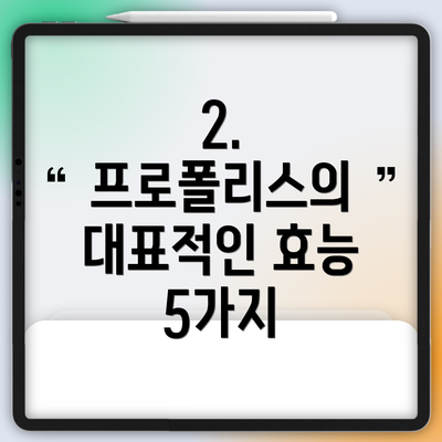 2. 프로폴리스의 대표적인 효능 5가지