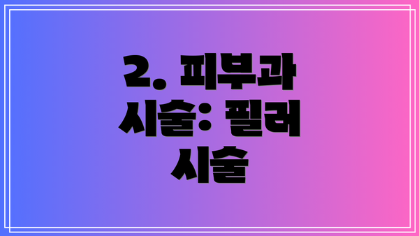 2. 피부과 시술: 필러 시술